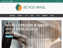 Tablet Screenshot of bichosbrasil.com.br